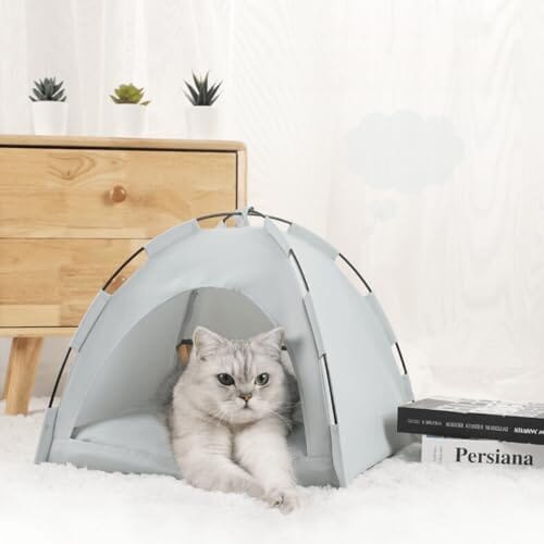 Tente Chat - CatTentBed™ - Gris Cyan