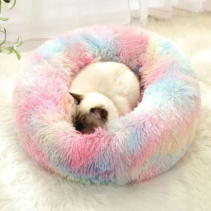 Lit pour Chat - CatLitTunnel™ - Multicolore